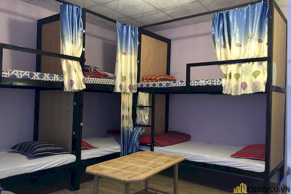 Mẫu giường tầng cho homestay - Hình ảnh 11